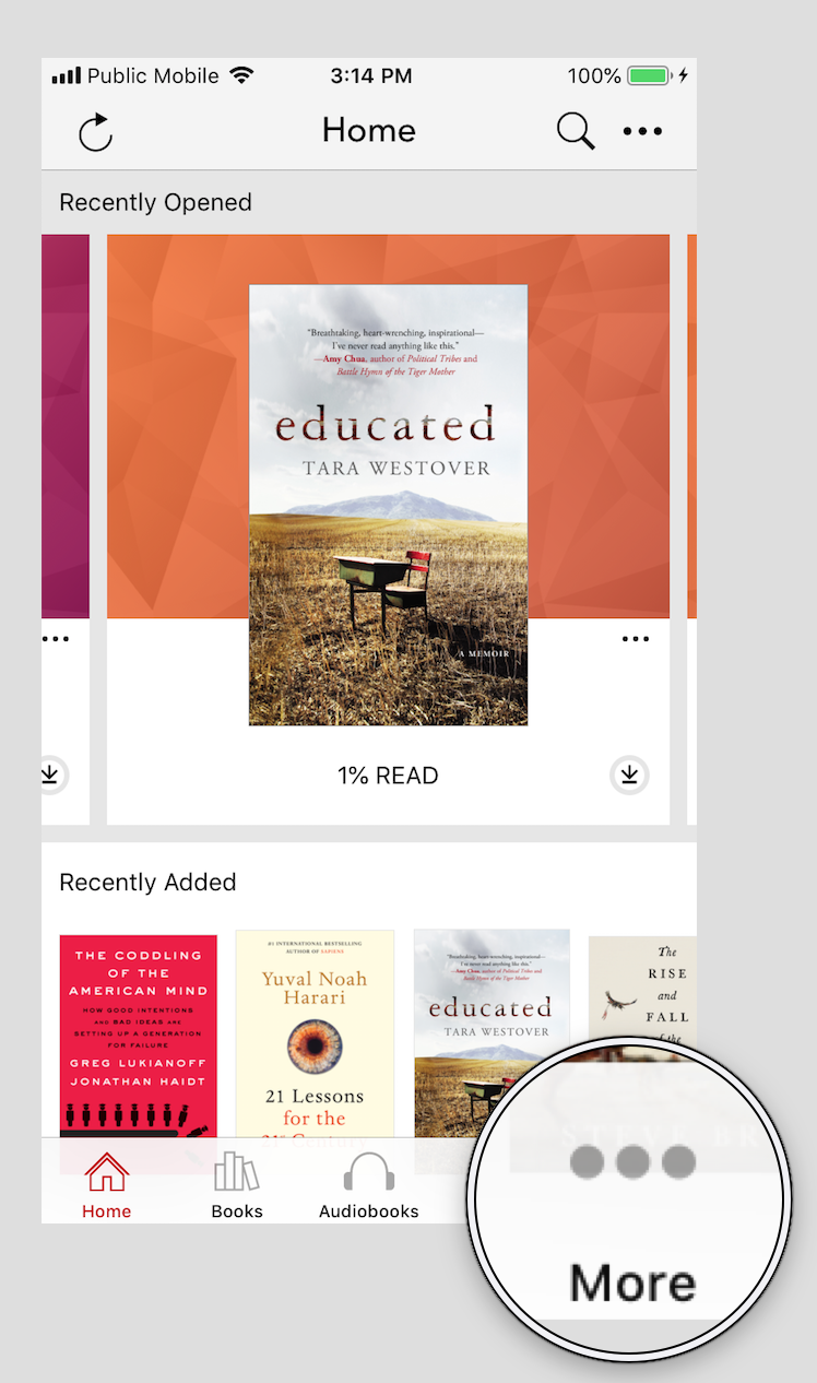 De Kobo Books-app met de knop Meer rechtsonder in het scherm gemarkeerd.